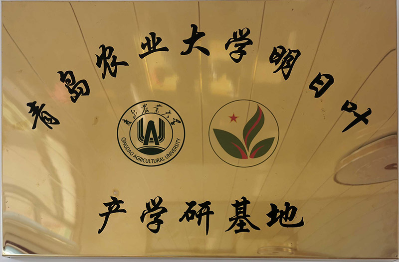 青島農(nóng)業(yè)大學產(chǎn)學研基地