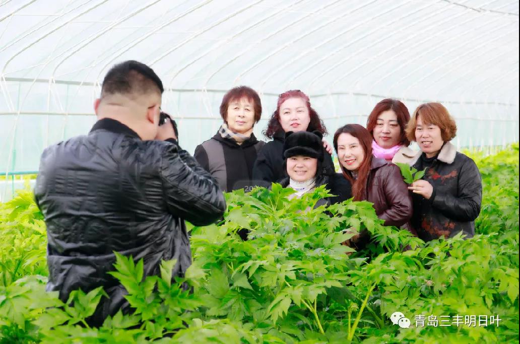 愛在三八節(jié) 丨青島三豐明日葉女神節(jié)感恩回饋活動圓滿結(jié)束